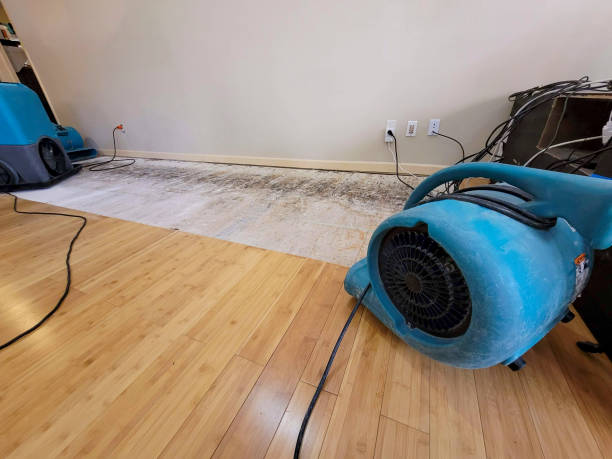 Reliable Basement Flood Cleanup contractor in Middletown, CA by Hirex Water Damage