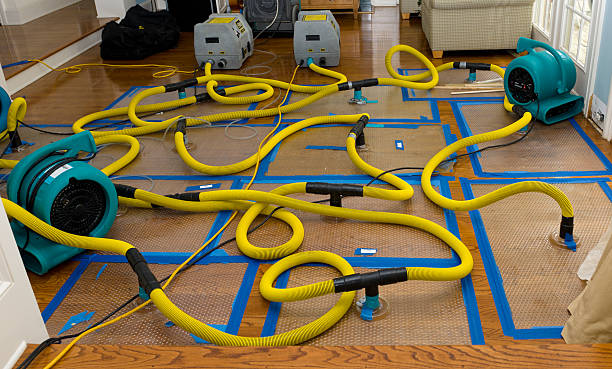 Professional Basement Flood Cleanup technician working in Middletown, CA